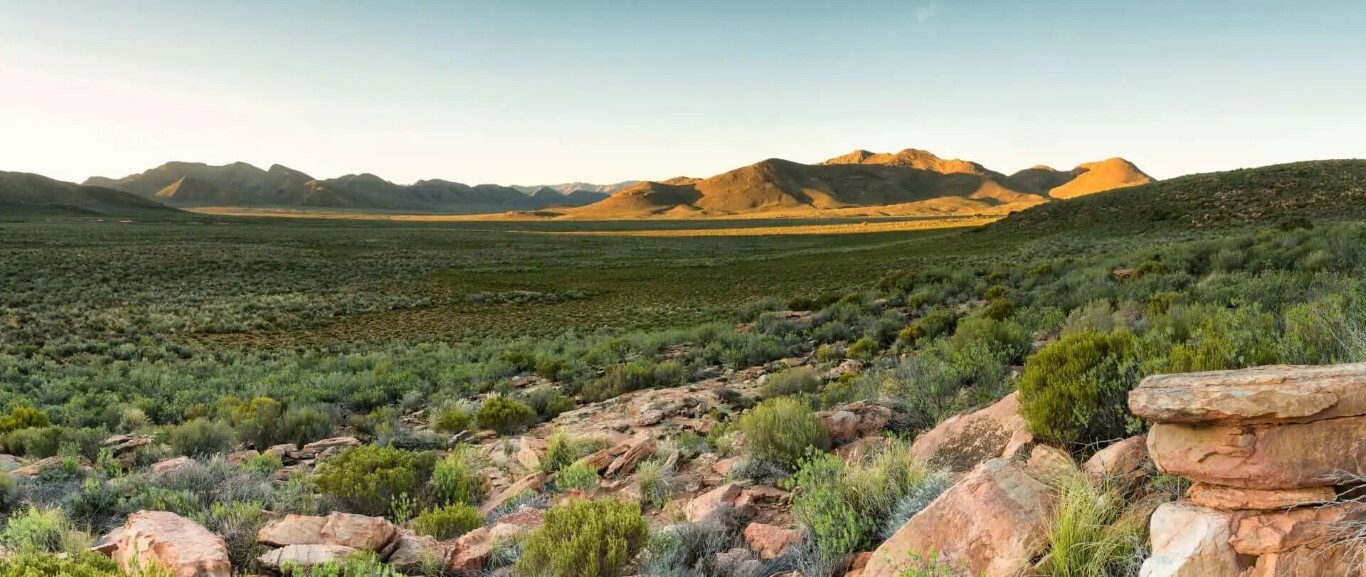 GeckoRock_valley_Medium