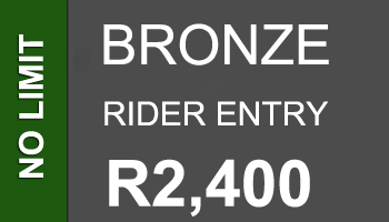 Bronze-Entry